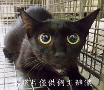11406030005收-60