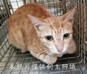 11406040001收4