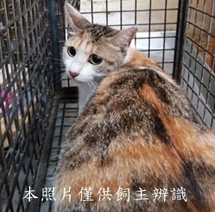 11406040002收34