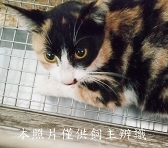 11406040006收60