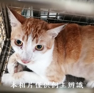 11406050002收97