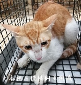 11406050004收36
