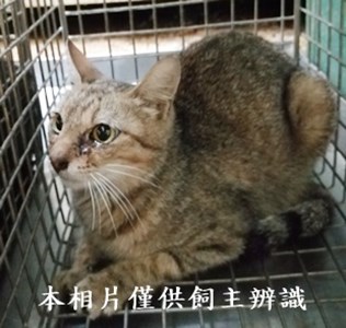 11406050008收54