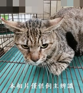11406050014收28