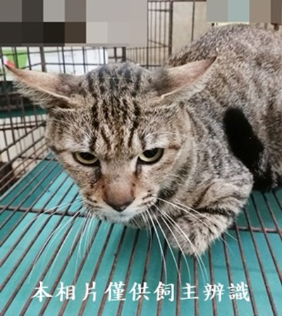 11406050014收28