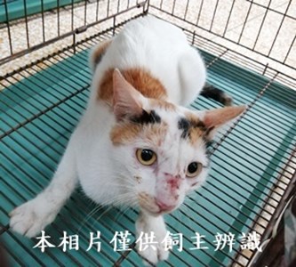 11406050015收44