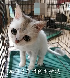 11406050016收28