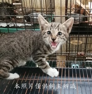 11406050017收44