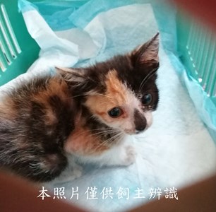 11406050018收36