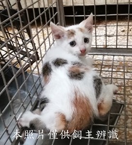 11406050021收54