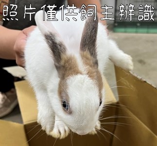 11406068007未