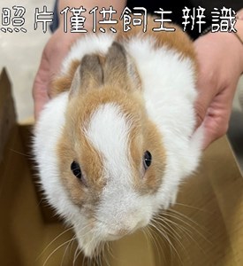 11406068008未