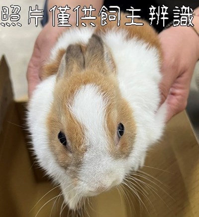 11406068008未