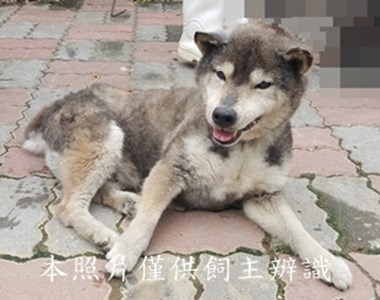 11406060003收-