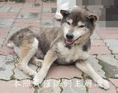 11406060003收-