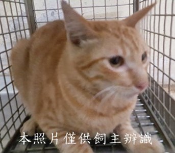 11406060004收