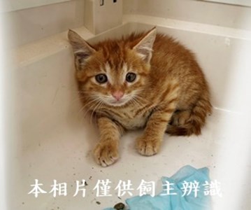 11406060006收