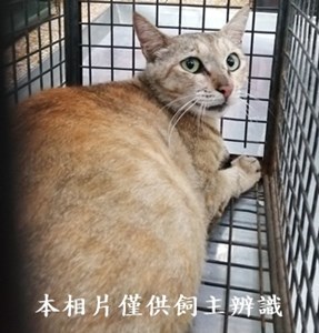 11406060009收61