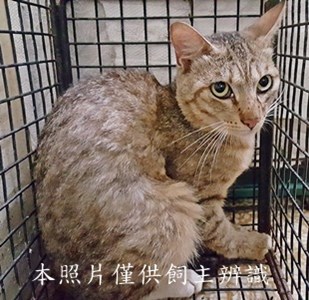 11406070002收-19