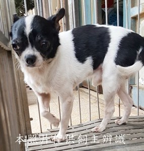 11406070019收-幼30