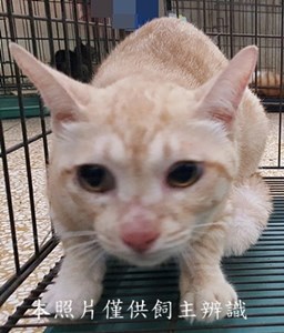 11406070020收-23