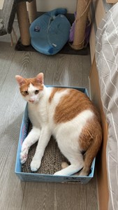 IMG_5960.jpeg