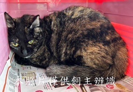 11406090011收-棄