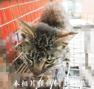 11406100001收19