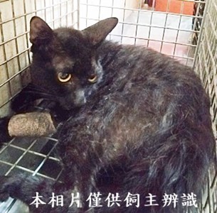 11406100002收93