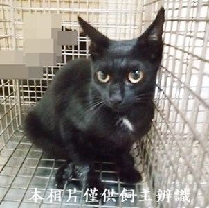 11406100005收45