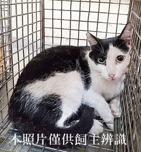 11406110010收61