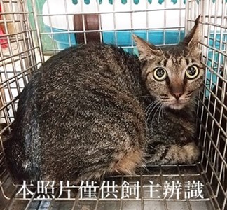 11406110012收31