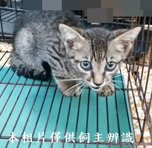 11406110015收8