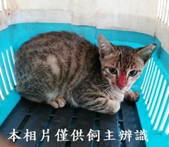 11406110016收