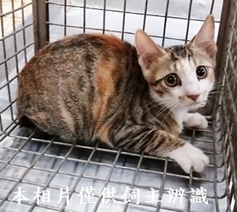 11406110017收45