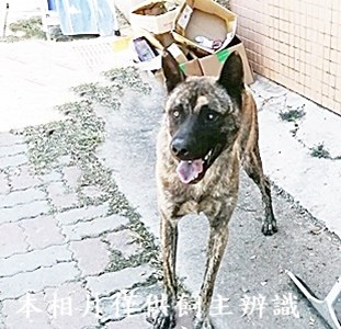 11406110018收8