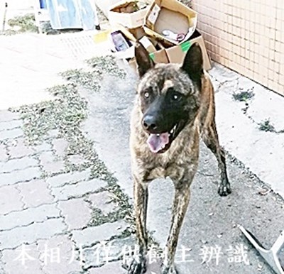 11406110018收8