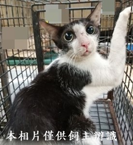 11406110019收16