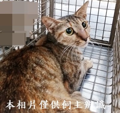 11406110020收51