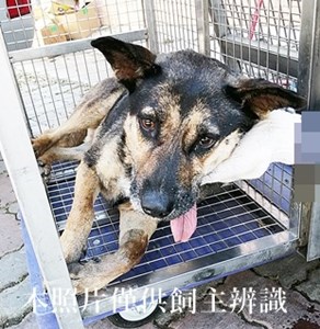 11406110021收E3
