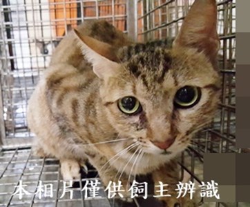 11406120001收-7