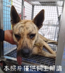 11406126001陳情