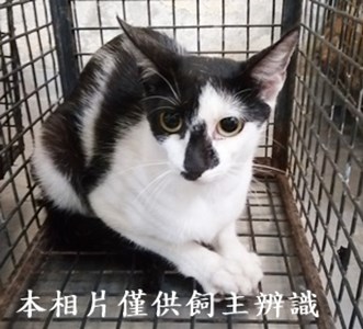11406120009收2