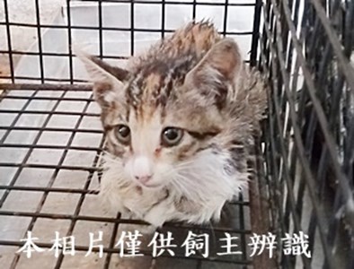 11406120010收29