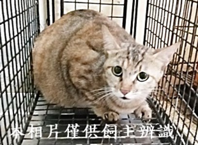 11406120011收12