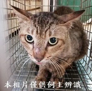 11406120012收34