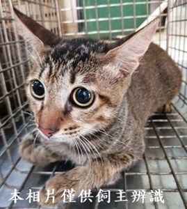 11406120013收16