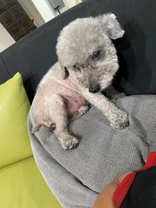 IMG_4834.jpeg