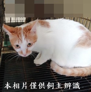 11406140004收33
