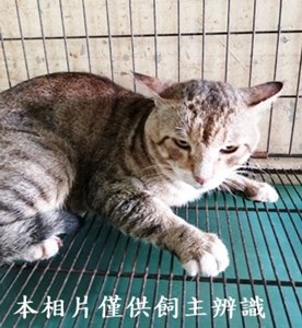 11406140005收13